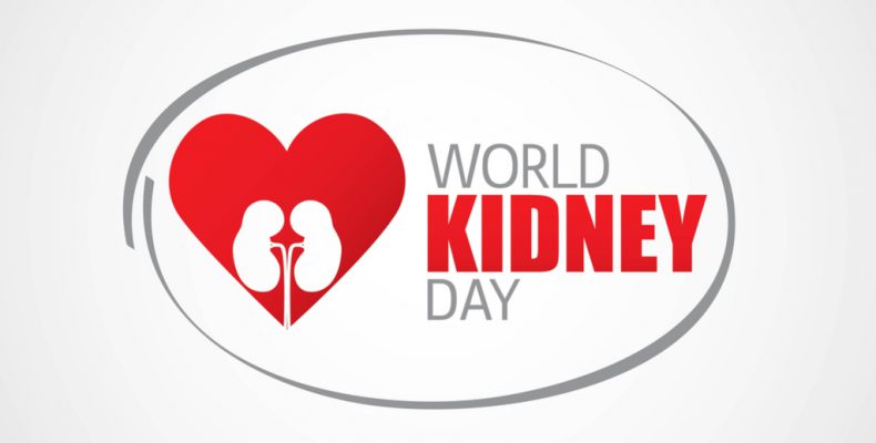 Betegfórum az egészséges vesékért - a Dialízisközpontban várják az érdeklődőket