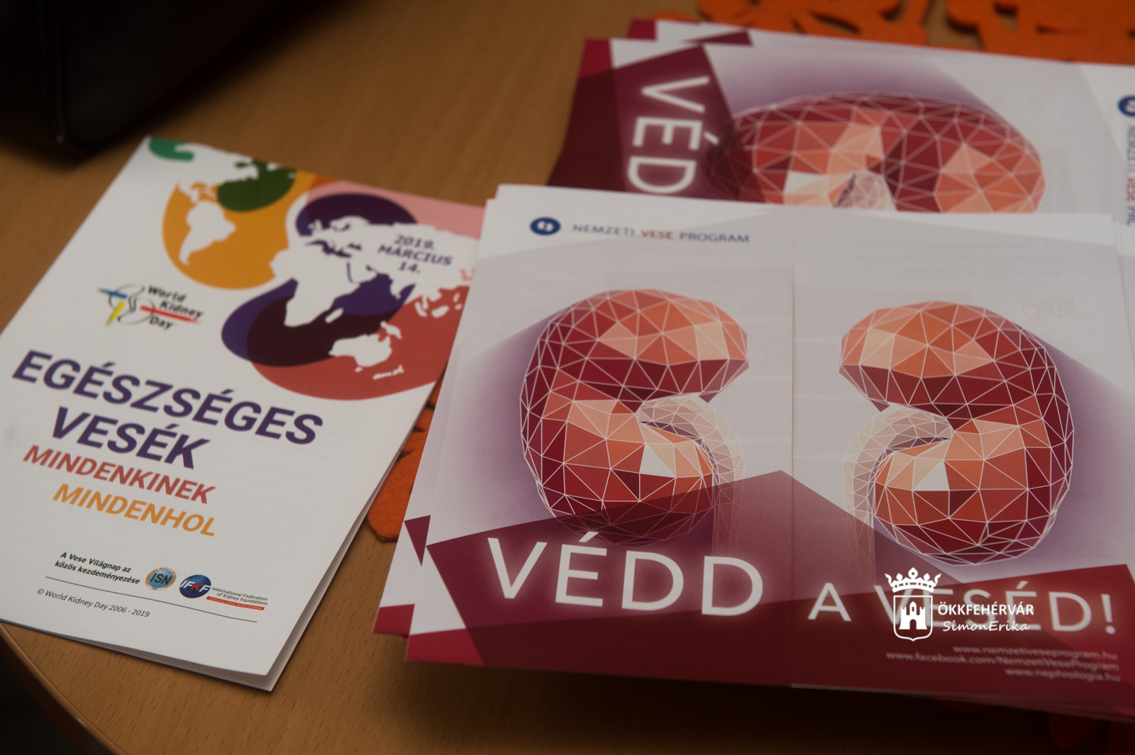 Vese Világnapja - a vese egészségéről és megőrzéséről volt szó a fehérvári fórumon