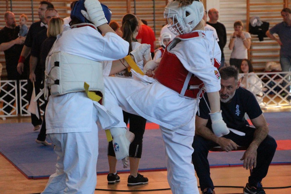 Karate: fehérvári éremdömping a diákolimpia selejtezőjében