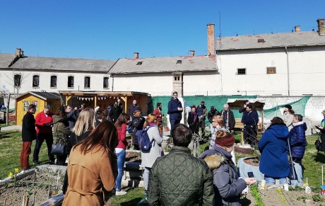 Nemzetközi partnerség látogatása Székesfehérvár közösségi kertjeiben