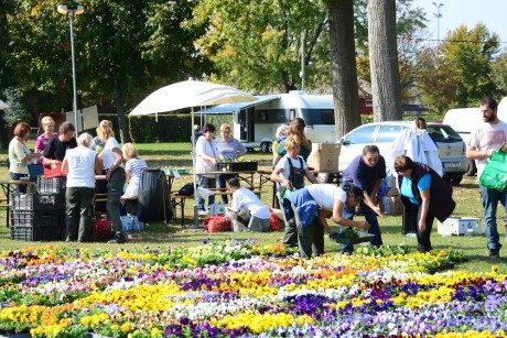 Napokon belül érkezik az e-mail, hogy mikor lehet átvenni a megpályázott növényeket