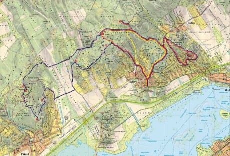 Tavaszköszöntő túrák hétvégén a Velencei-hegységben