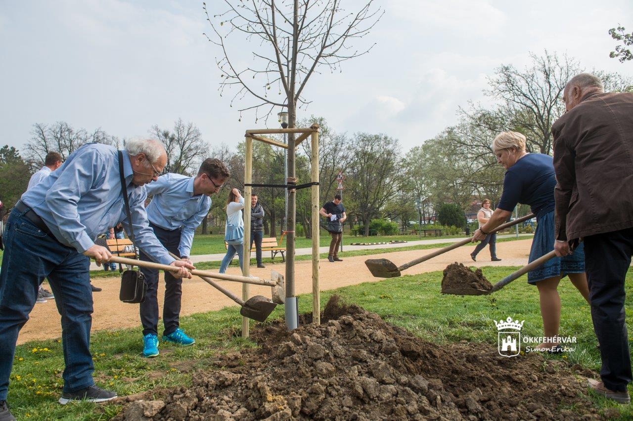 Nemes gesztus Alsótekeresről - 25 nagy hársfával gazdagodott a Halesz