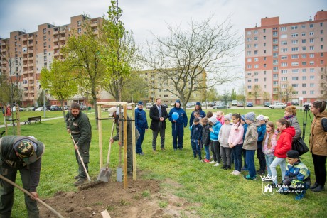 Körtefát ültettek az összefogás szimbólumaként a bűnmegelőzés napján