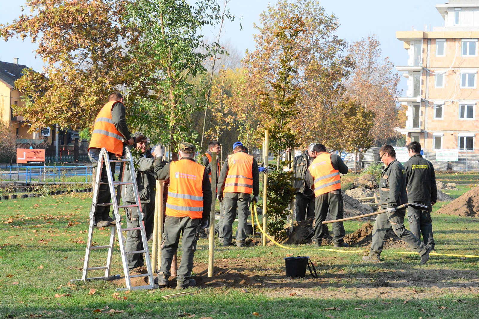 Hajléktalanokat is segít és alkalmaz a Városgondnokság Székesfehérváron