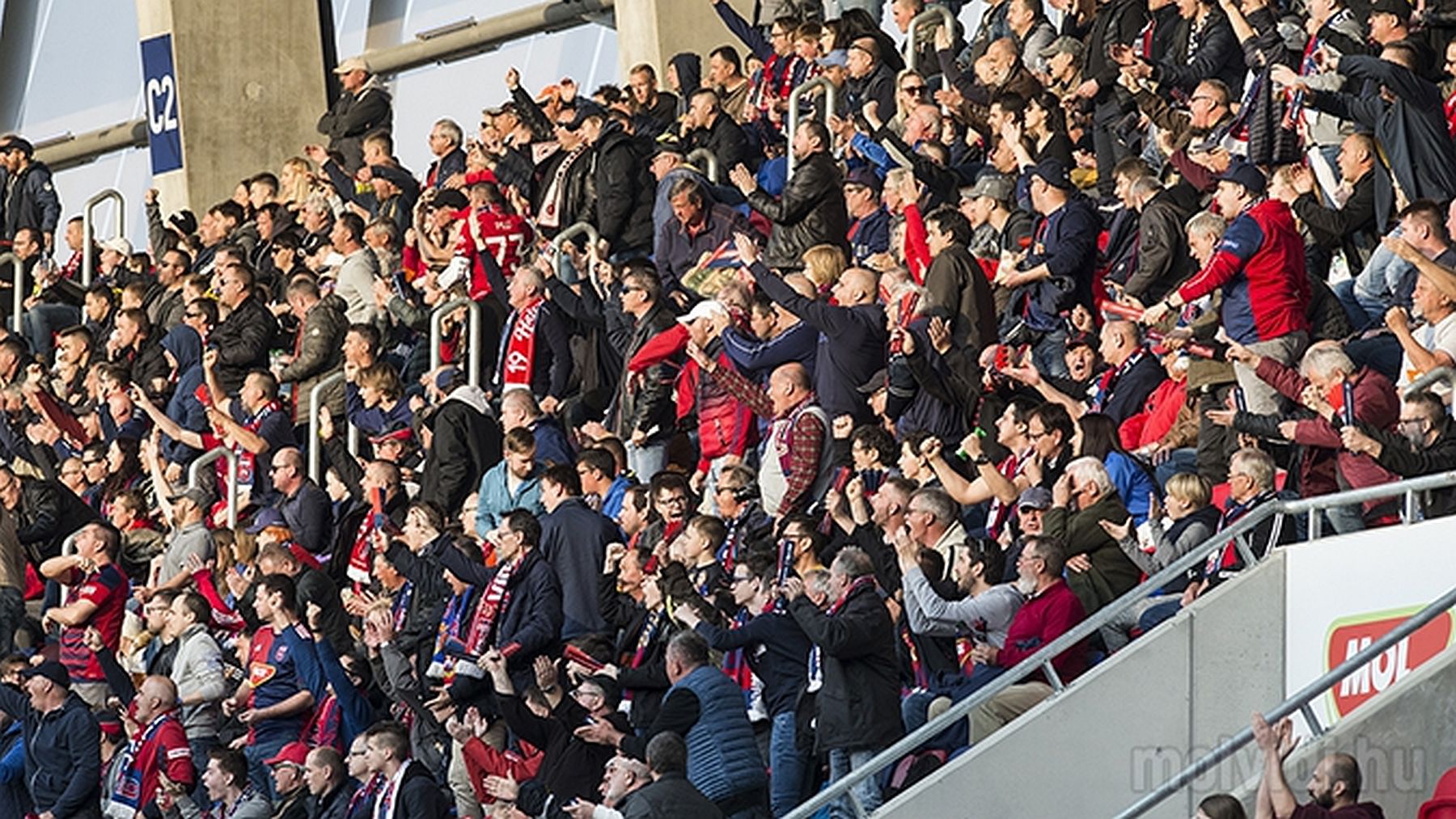 A Puskás Akadémia csapatát látja vendégül szombaton a MOL Vidi FC