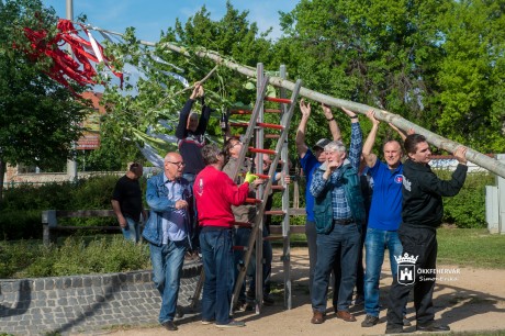 Májusfát állítottak Palotavárosban a Vasvári Pál Általános Iskola előtt