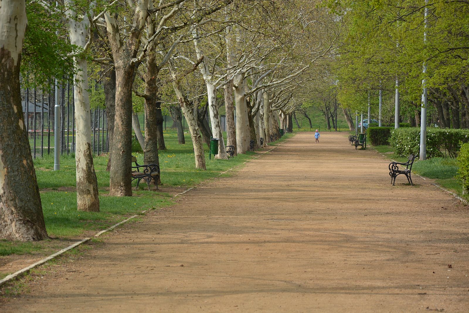 Fókuszban az 5. számú választókerület – Tóváros, Sóstó, Alsóváros, Őrhalmi Szőlők
