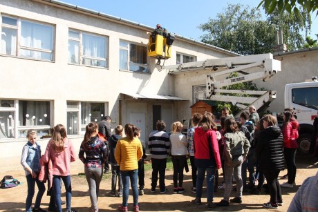 Fecskebarát Fehérvár - megkezdődött a kerámia fecskefészkek kihelyezése