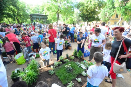 Idén is pompáznak majd a fehérvári óvodások mesés kiskertjei a Zichy ligetben