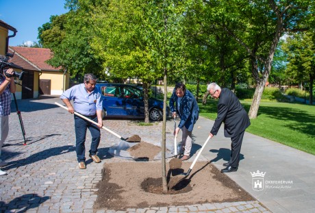 Emléktáblát állítanak a hősi halottak emlékére a Püspökségen