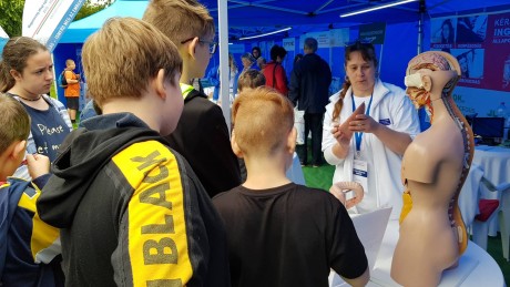 Harminchét féle ingyenes egészségügyi szűrés és látványos bemutatók a Bregyóban