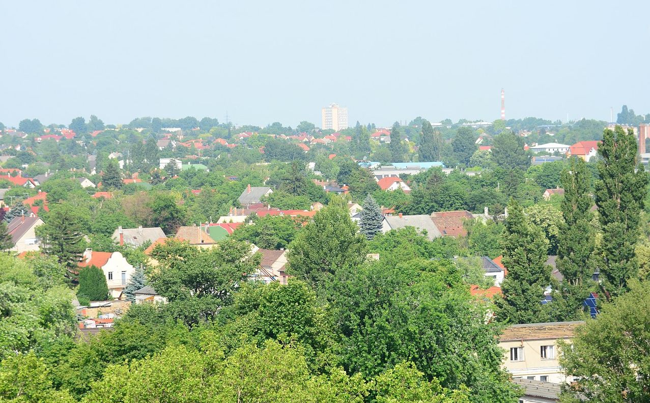 Fogadóórát tart jövő héten dr. Dienesné Fluck Györgyi