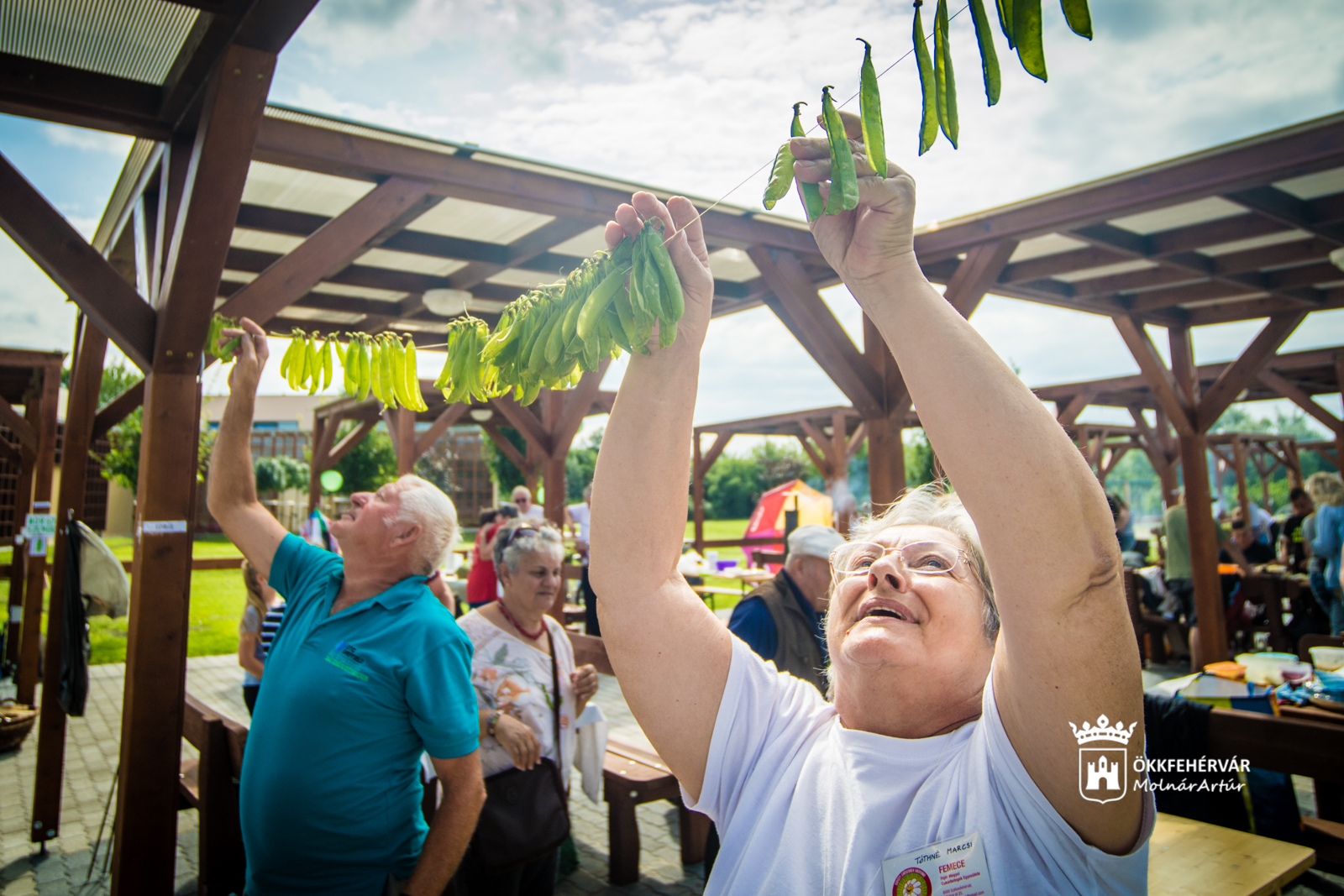 Egészségnap és Borsófesztivál is lesz június 15-én Feketehegy-Szárazréten