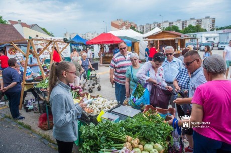 Látogatók százait fogadta a hetedik Fehérvári Egészségpiac a Jancsárkertben