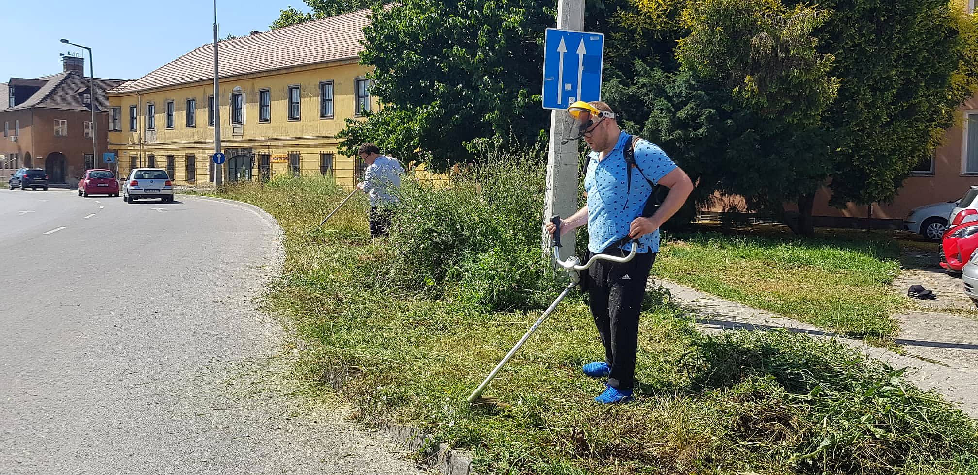 Saját maga vágta le a MÁV területén a méteres gazt az önkormányzati képviselő