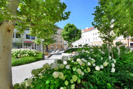 Csodálatosan zölddé vált az Országzászló tér