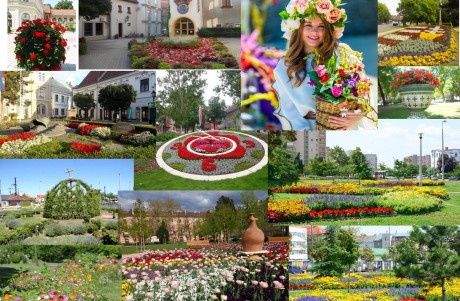 Legvirágosabb Úti Cél 2019 - Vasárnap éjfélig még szavazhatsz Székesfehérvárra!