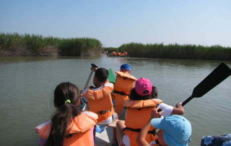 Állami gondozásban élő testvércsokrok a Vigyázó kéz szervezésében