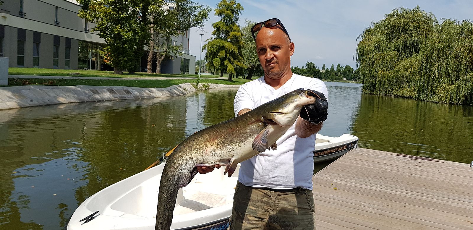 Méretes szürkeharcsákat telepítettek a Csónakázó-tóba