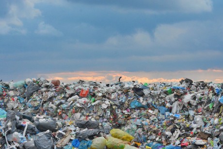 Hulladékszállítás Székesfehérváron az augusztusi ünnepnapokon