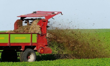 Trágyáztak a város környéki földeken - 