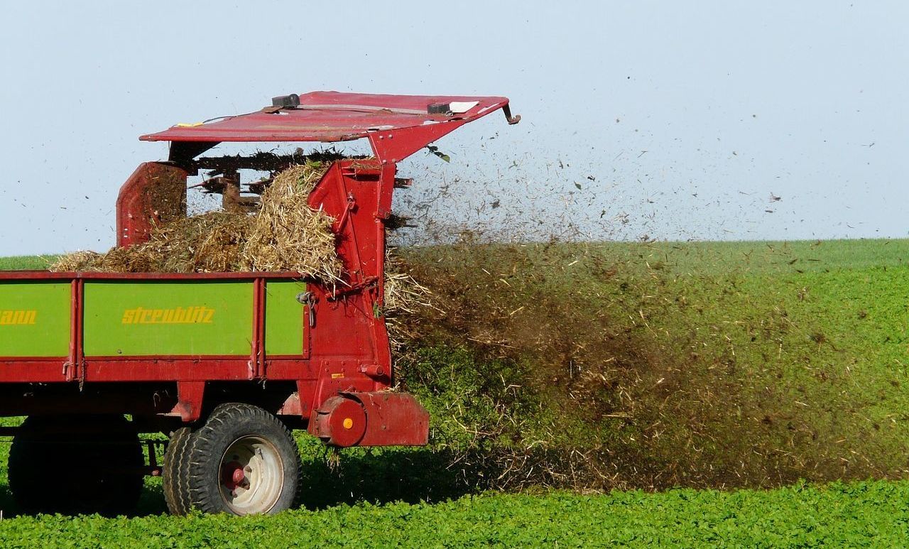Trágyáztak a város környéki földeken - 