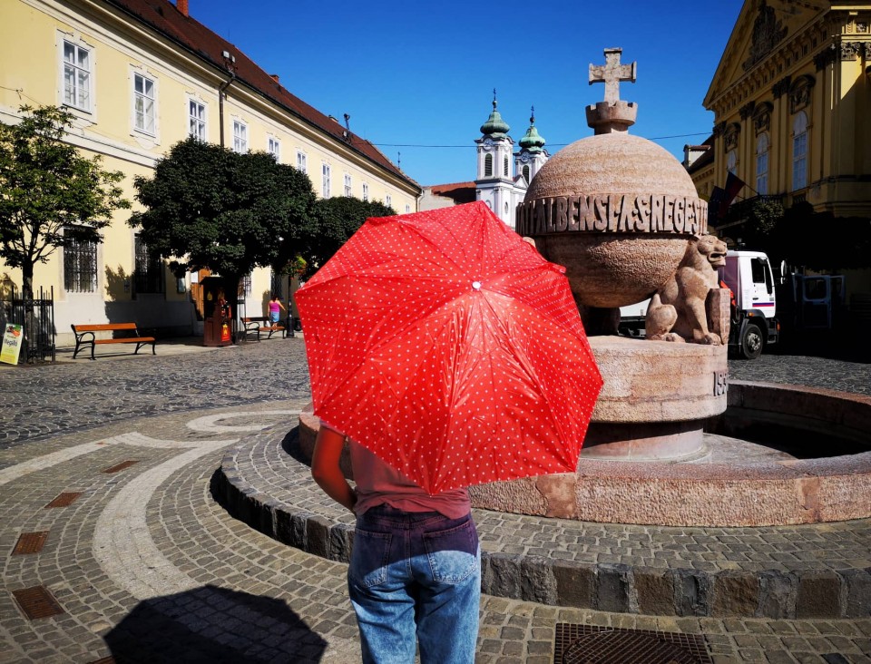 Esernyővel emlékeznek az első magyar flashmobra az Országalmánál