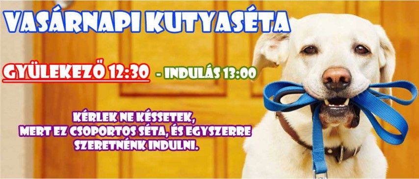 Vasárnapi kutyasétát szervez a HEROSZ augusztus 25-én