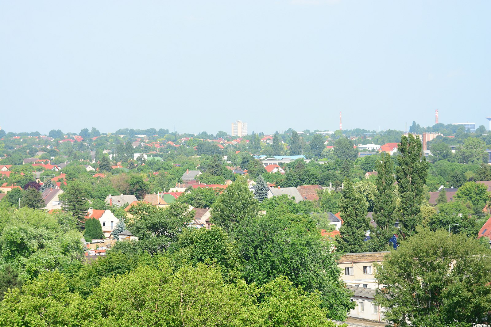 Két helyszínen is várja a körzet lakóit dr. Dienesné Fluck Györgyi képviselő