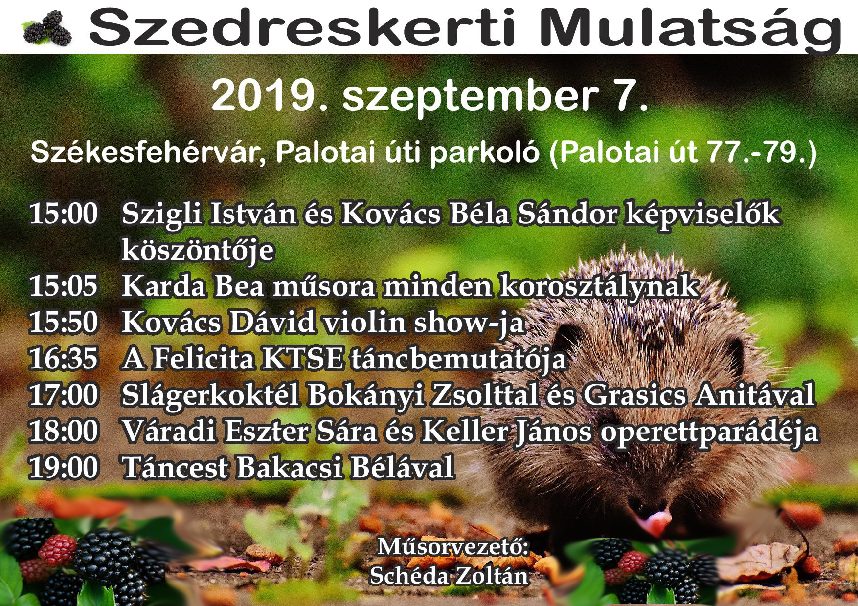 Hetedszer lesz Szedreskeri Mulatság a Palotai úton