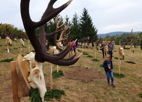 Az új helyszínen is sikeres volt az Országos Vadásznap és Vadgasztronómiai Fesztivál