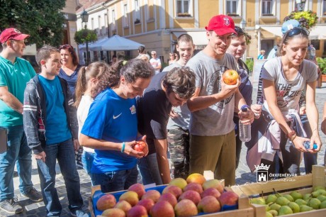 Termelői vásárral népszerűsítették az agrárszektorban rejlő lehetőségeket