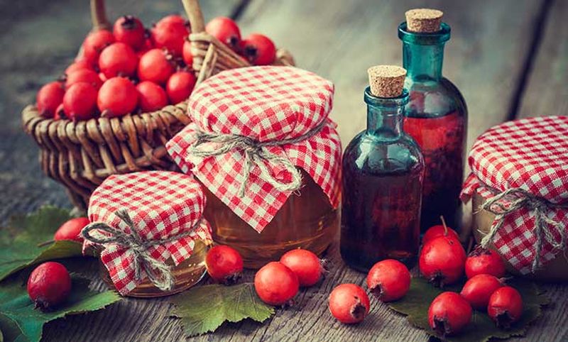 Érik a kökény és a galagonya - vasárnap Nadapon lesz Herbarius túra