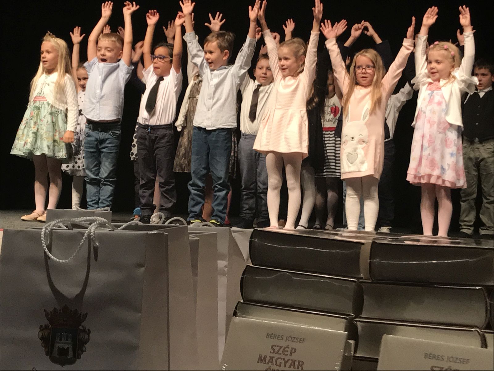 Határon túli diákok magyar nyelvű oktatását segíti Székesfehérvár