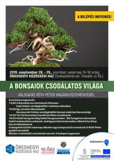 Bonsai kiállítás lesz hétvégén az Öreghegyi Közösségi Házban