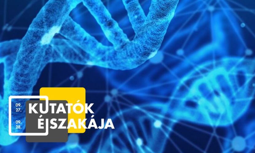 Kutatók éjszakája - ezek lesznek a székesfehérvári ingyenes programok