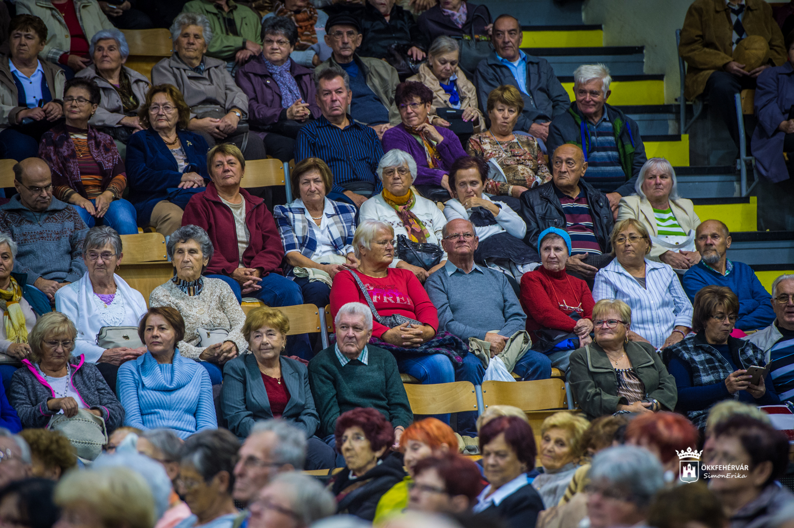 A Dankó Rádió sztárjai lépnek fel az Idősek Világnapján