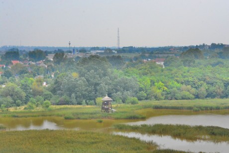 Ökotúra az Állatok Világnapja alkalmából a Sóstó Természetvédelmi Területen