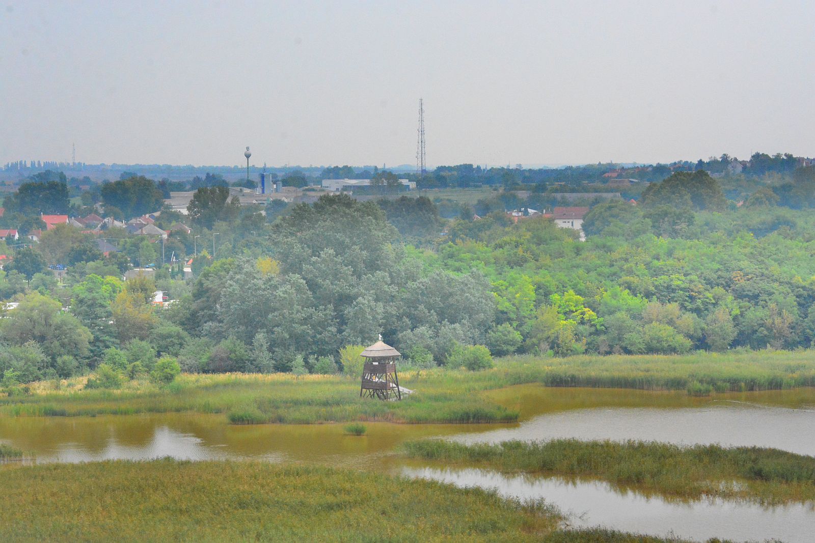 Ökotúra az Állatok Világnapja alkalmából a Sóstó Természetvédelmi Területen
