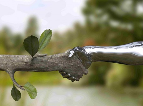 Isten hozott, ökológia! - Nobilis Márió, főiskolai adjunktus előadása az Olvasóteremben