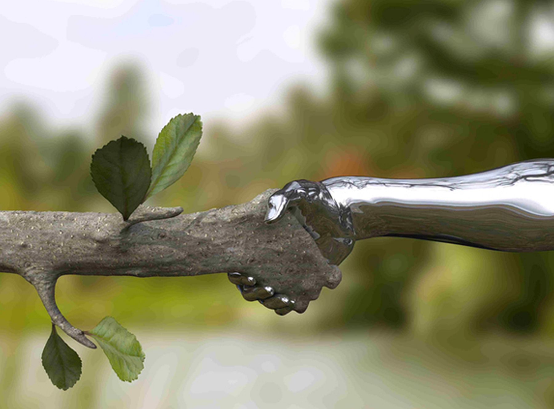 Isten hozott, ökológia! - Nobilis Márió, főiskolai adjunktus előadása az Olvasóteremben