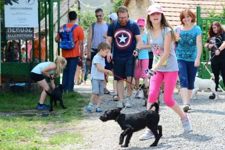 Fehérvár Fényei az állatokért – fáklyás felvonulás szombaton este a Belvárosban