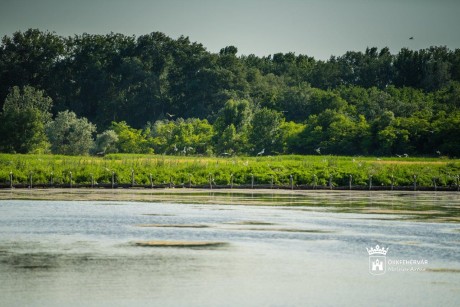 Új programsorozat indul a Sóstó Látogatóközpontban