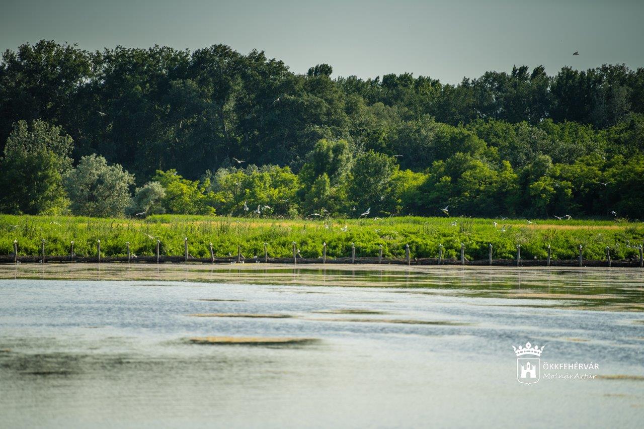 Új programsorozat indul a Sóstó Látogatóközpontban