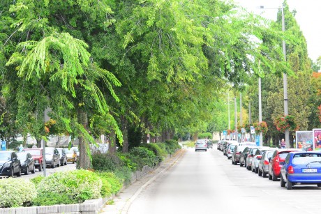 Forgalomkorlátozás lesz szerdától a Rákóczi utcában