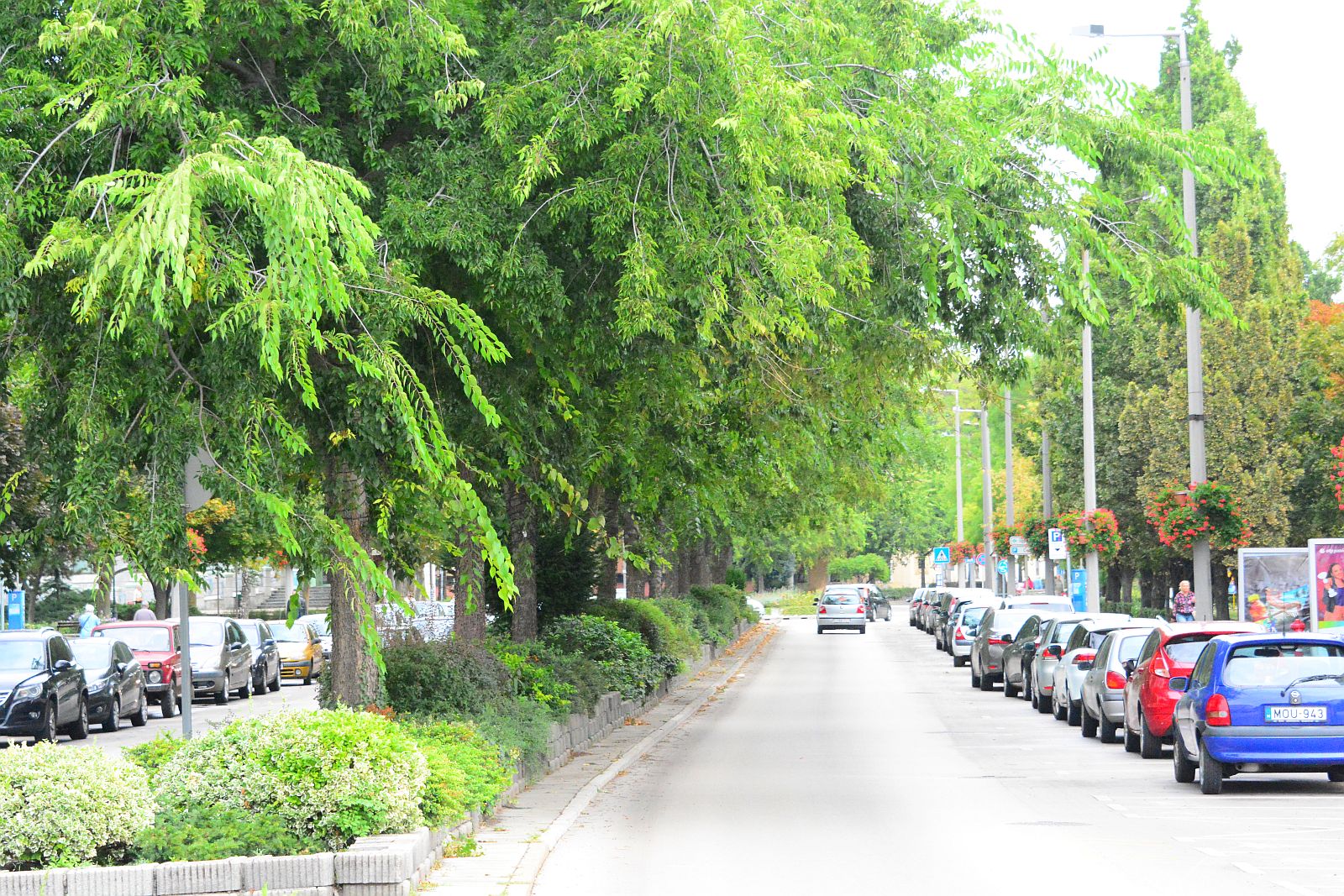 Forgalomkorlátozás lesz szerdától a Rákóczi utcában