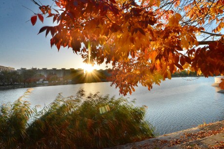 Nem veszélyes a levegő Székesfehérváron!