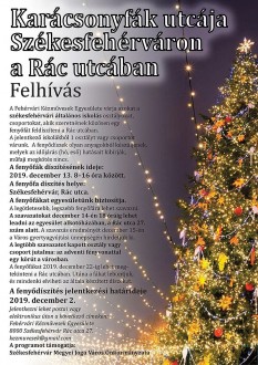 Karácsonyfák utcája lesz Székesfehérváron a Rác utcában