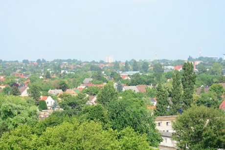 Fogadóórát tart jövő héten dr. Dienesné Fluck Györgyi